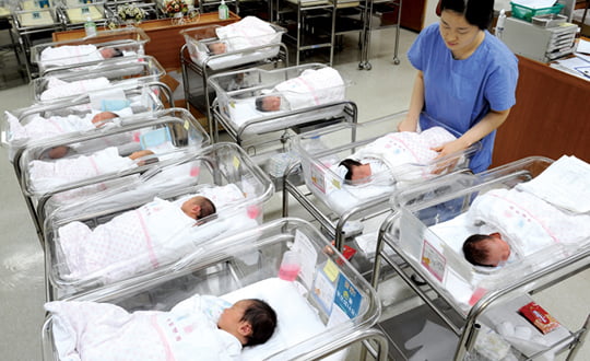 60년만에 온 백호띠 해에 맞춰 출산하려는 임신부들이 늘면서 산부인과병원 신생아실이 붐비고 있다.서울 중구 제일병원은 분만율이 2월 들어 작년 동기 대비 16% 늘었다.

/강은구기자 egkang@hankyung.com 2010.02.      