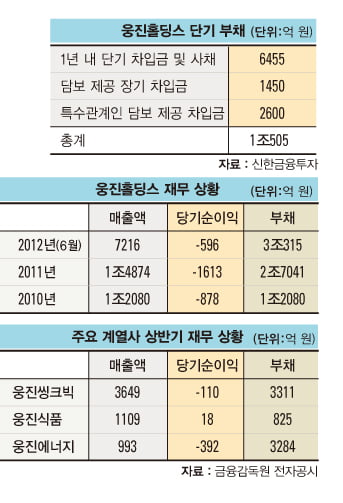 [비즈니스 포커스] ‘샐러리맨 신화’ 윤석금 웅진 회장이 위기에 빠진 까닭