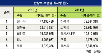 [‘나무 재테크’쑥쑥 큰다] 나무 재테크 현황&트렌드