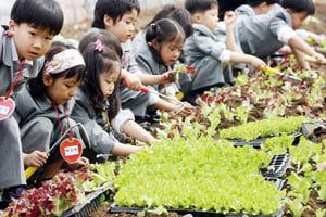 농협은 12일 서울 양재동 대원농장에서 주말농장 개장식을 가졌다. 행사에 참석한 어린이들이 직접 채소를 심고 있다.
/허문찬기자  sweat@   20070412  