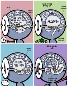 혈액형별 뇌 구조, 각각의 특징이 잘 드러나 '공감+폭소'