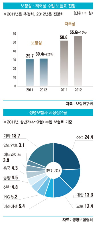 ‘빅뱅’ 앞둔 2012년 보험업계 재편 가시화…대규모 M&A 줄 서