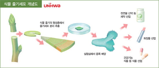 의학적·산업적 부가가치는