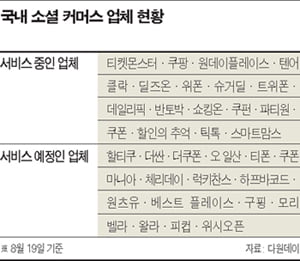 [마케팅 뉴 트렌드 '소셜 커머스'] ‘제2 그루폰’ 봇물…소싱 능력 과제