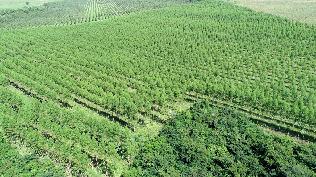 해외 산림자원 개발 민간투자 융자 신청 접수