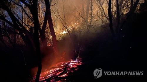 구미 등 경북 7곳 건조주의보…포항 등 5곳 건조주의보 유지