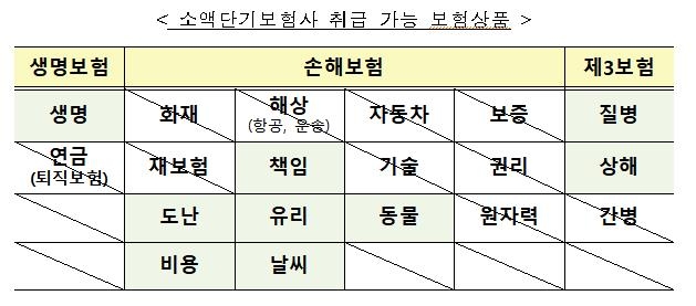 소액단기 전문 '미니보험사' 도입…자본금 요건 300억→20억