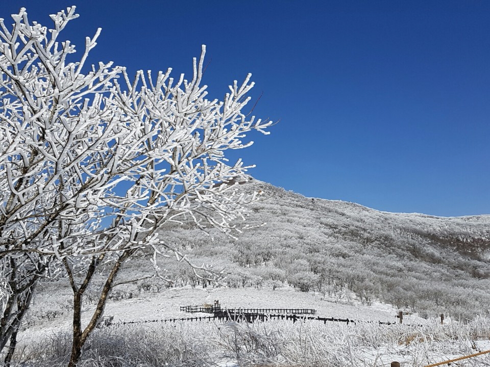 북부산림청 산림유전자원·백두대간보호구역 불법행위 단속