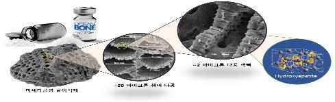 '플랑크톤에서 뼈 이식 소재 개발'…해양수산 신기술 6건 선정