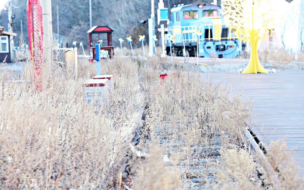 98억 투입해 도시재생 한 태백 통리…그 이후는