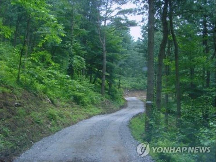 산림청 "설 연휴 임도 개방 안 합니다"…성묘객 주의해야