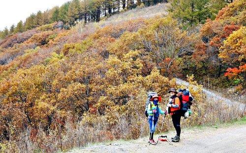 관광공사 '비대면 관광지 100선' 해외 박람회서 수상