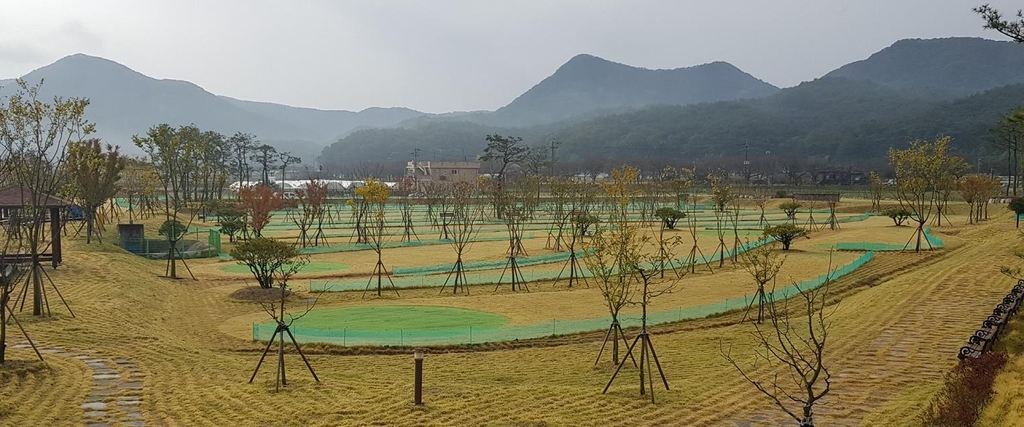 전남도, 노인 친화형 파크골프장 2025년까지 77곳 추가 조성