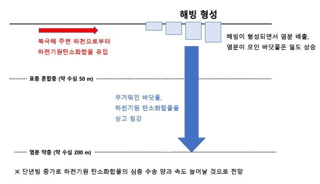 "북극 얼음이 하천서 유입된 탄소화합물 심해로 내려보내"