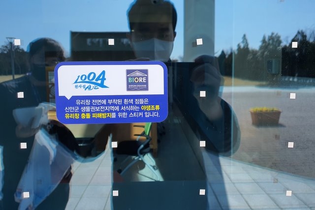 '야생조류 투명유리창 충돌 막자'…신안군, 청사에 스티커 부착