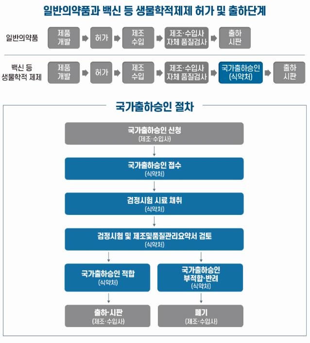 78만7천명분량 아스트라제네카 백신 품질검정 완료…첫 출하승인(종합2보)