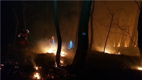 동해안 일대 대형산불위험예보 발령…소각 행위 절대 금지