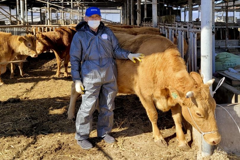 합천서 1.2t 넘는 '슈퍼한우' 탄생…경매가 2천만원