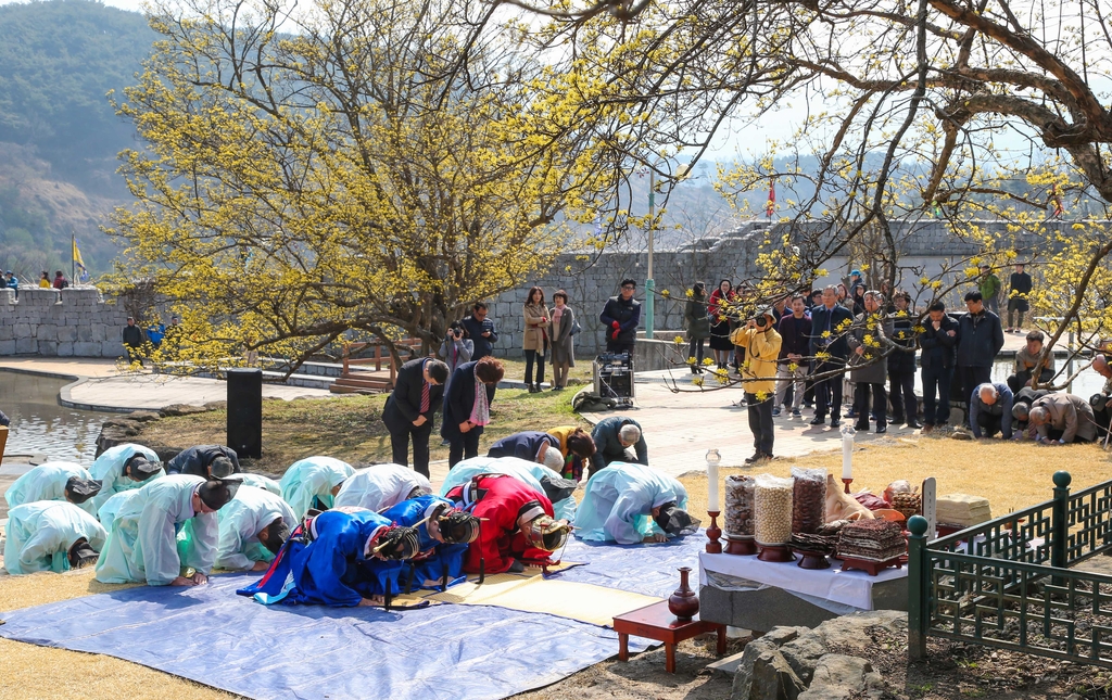 구례군, 코로나19로 올해도 '구례산수유꽃축제' 취소