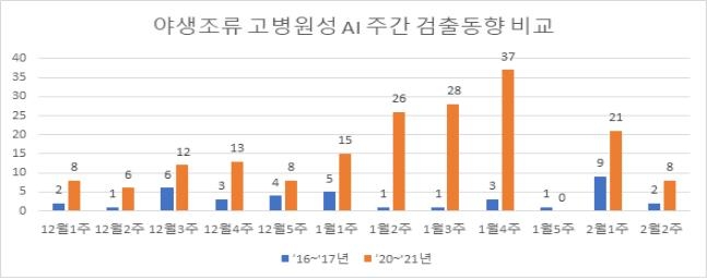 이달 11∼18일 고병원성 조류인플루엔자 25건 확진…누적 197건