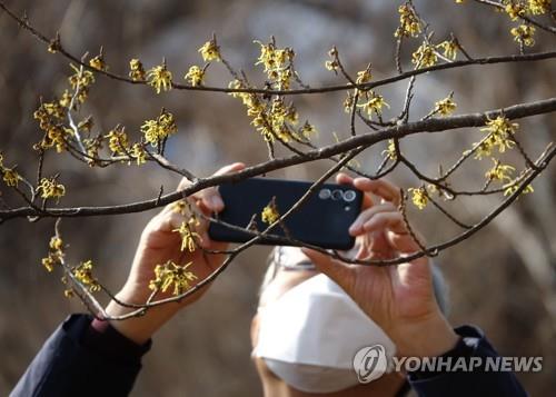 전북 오후부터 맑고 포근…낮 최고 13∼17도