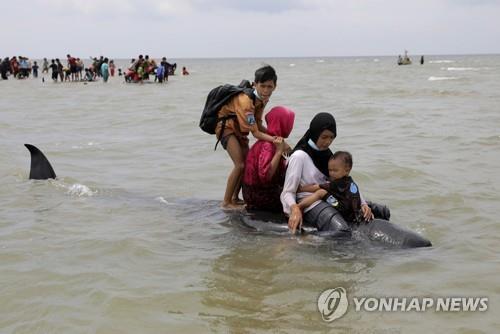 인도네시아 해변서 들쇠고래 52마리 떼죽음…3마리만 구조