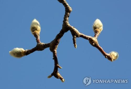 대구·경북 어제보다 포근…낮 기온 18∼24도 예상