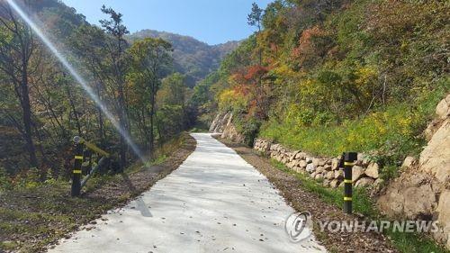 춘천시 올해 임도 3곳에 7.8㎞ 개설…힐링공간 조성