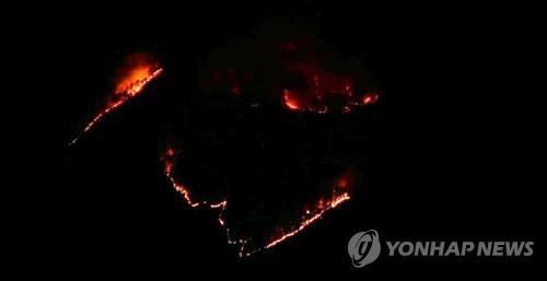 경상·충청권서 발생한 산불 5건 21시간 만에 진화