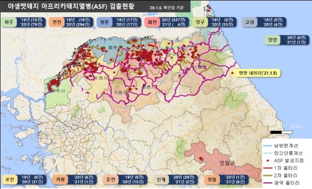 "야생멧돼지 ASF 4월까지 집중될 가능성 크다"