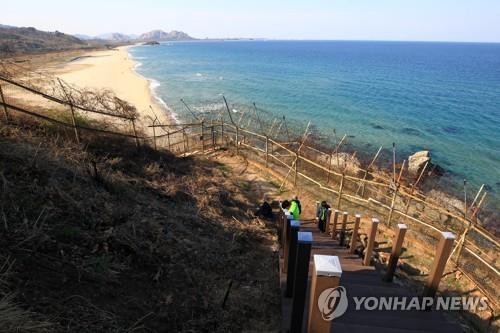 새 날고 강풍에도 경보음 뜨는데…군 "과학화장비 이상없어"