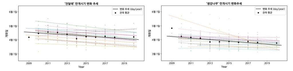 두륜산 진달래 내달 25일 만개…용문산은 4월 16일