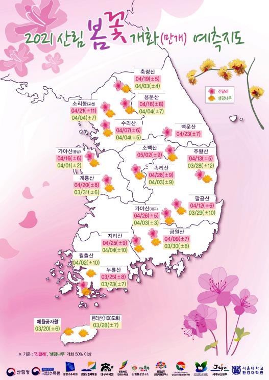 두륜산 진달래 내달 25일 만개…용문산은 4월 16일