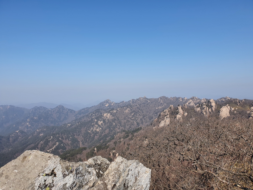 '산불 예방' 속리산 8개 탐방로 4월 30일까지 통제