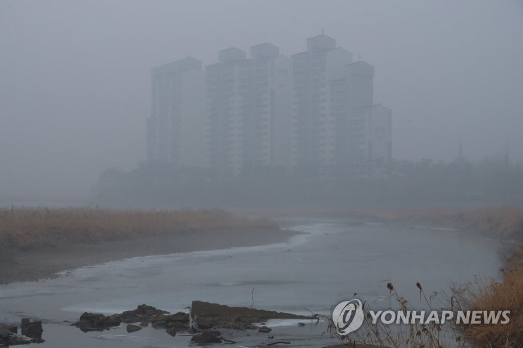 오늘 밤부터 짙은안개 주의…전국 따뜻한 주말