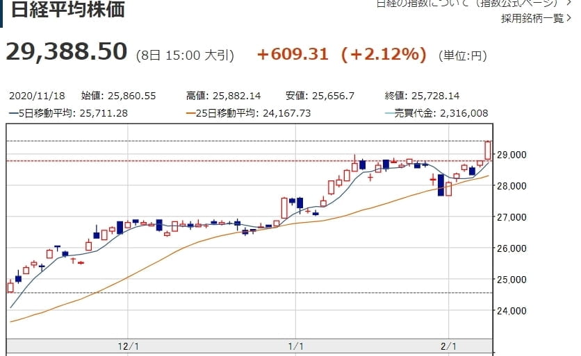 日 증시 `잃어버린 30년` 회복…닛케이지수 2만9,000선 돌파