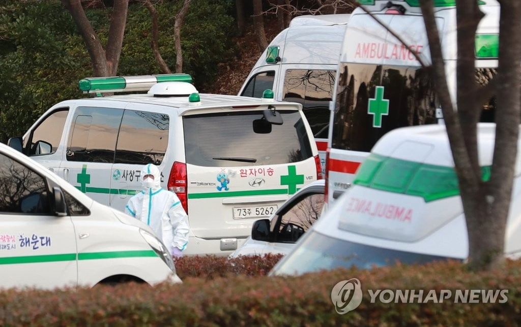 국내서 20대 확진자 첫 사망…부산서 확진 하루 만에