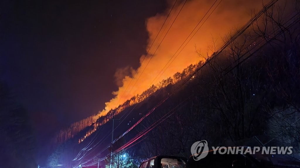 정선 산불 이틀째 계속…헬기 14대 동원 진화 총력