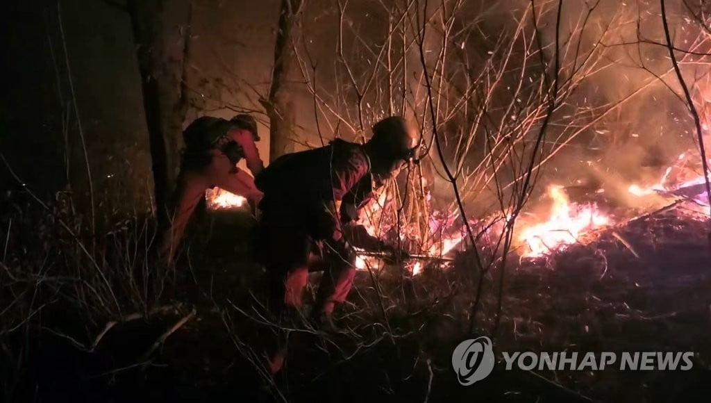 정선 산불, 18시간 만에 진화…"실화자 엄중 처벌"