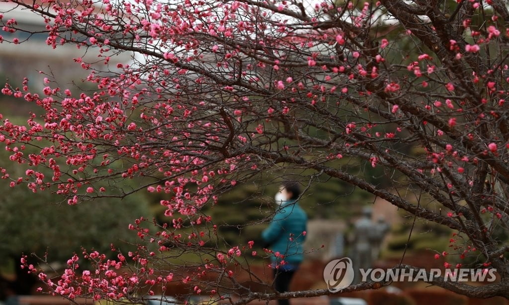 거리두기 완화 첫 주말… 도심 휴양지 나들이객 북적