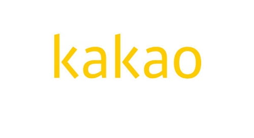Peer review controversy Kakao holds an internal meeting on March 2nd