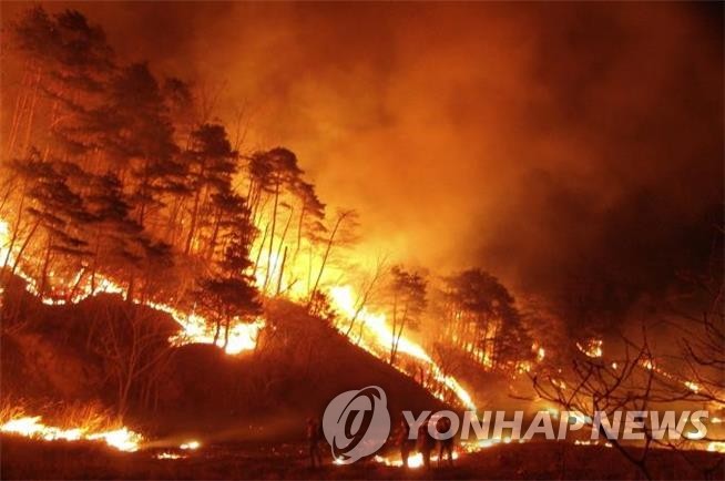 '산불에 강한 마을가꾸기' 공모 등 산불 교부세 17억원 확보