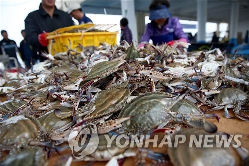 충남도내 지난해 수산물 생산량 줄었지만 생산액은 증가