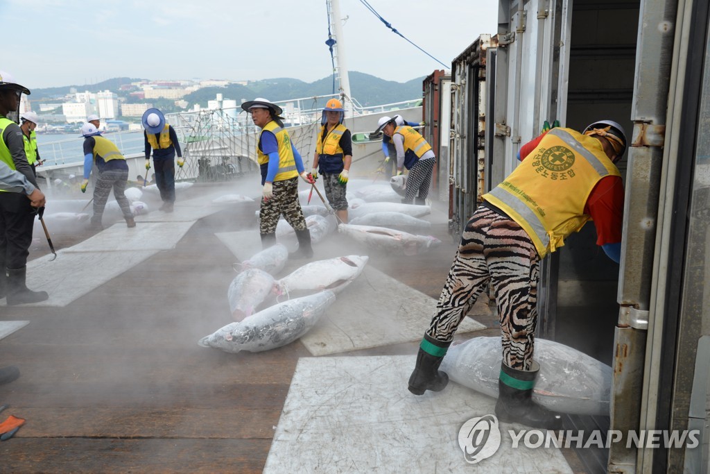 팀별 '거리두기' 작업해온 부산항운노조 전방위 감염 왜?