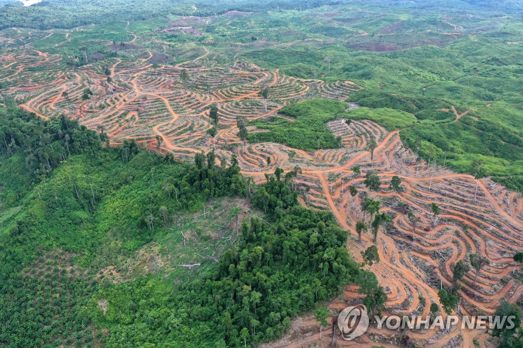 기후단체 "바이오에너지 '청정' 아냐…인권·환경문제 야기"