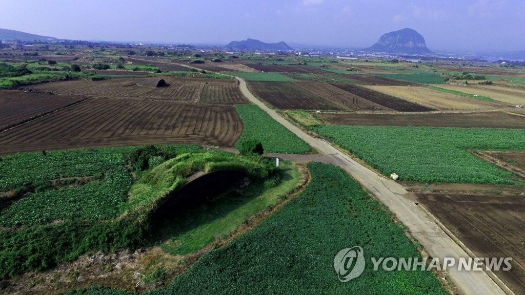 일본군 건설한 '알뜨르비행장' 국방부서 제주도로 이전될까?
