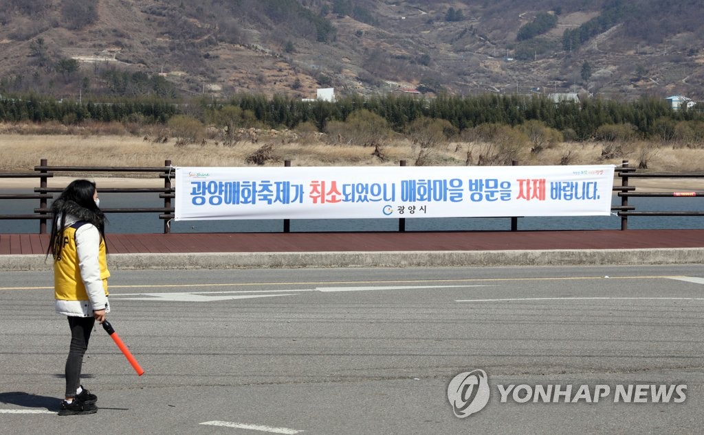 "꽃은 피었지만, 오시면 안돼요"…올해도 봄축제 줄줄이 취소