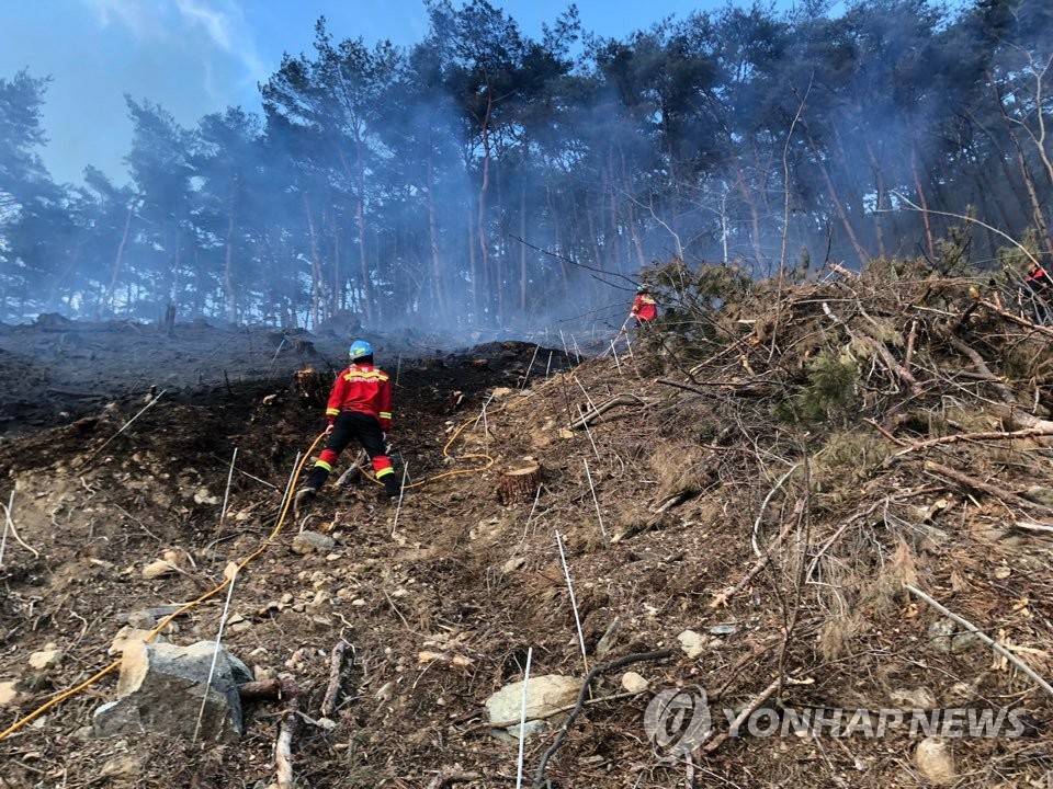 "묘지서 쓰레기 태우다…" 순천·여수서 잇따라 산불