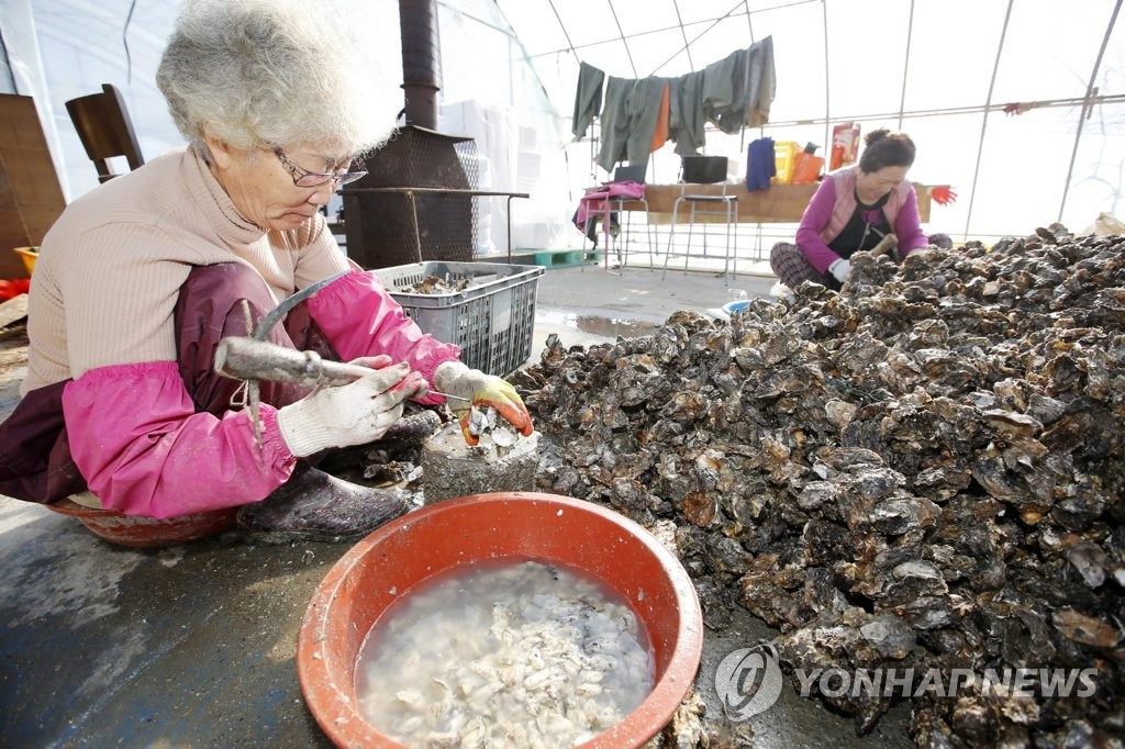 내달부터 경영권 넘기는 고령 어부에 연평균소득 60％ 지원