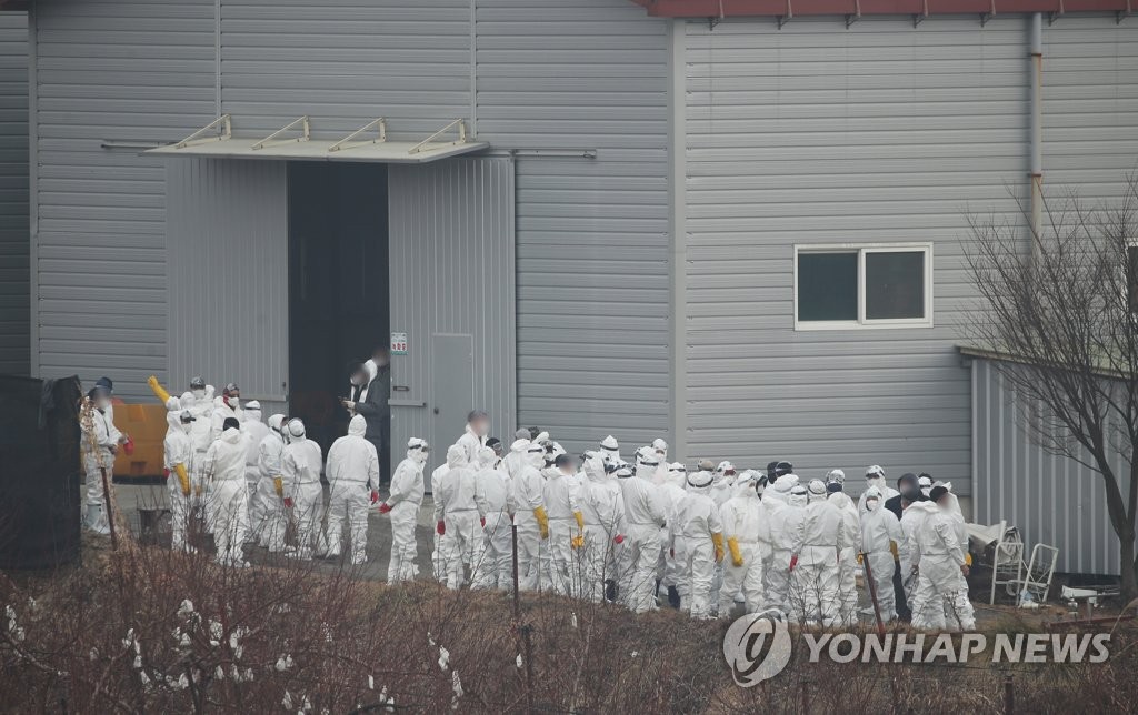 불교계 단체들 "정부, 반생명적 살처분 정책 중단해야"